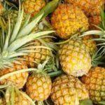 Health Benefits of Consuming Pineapple