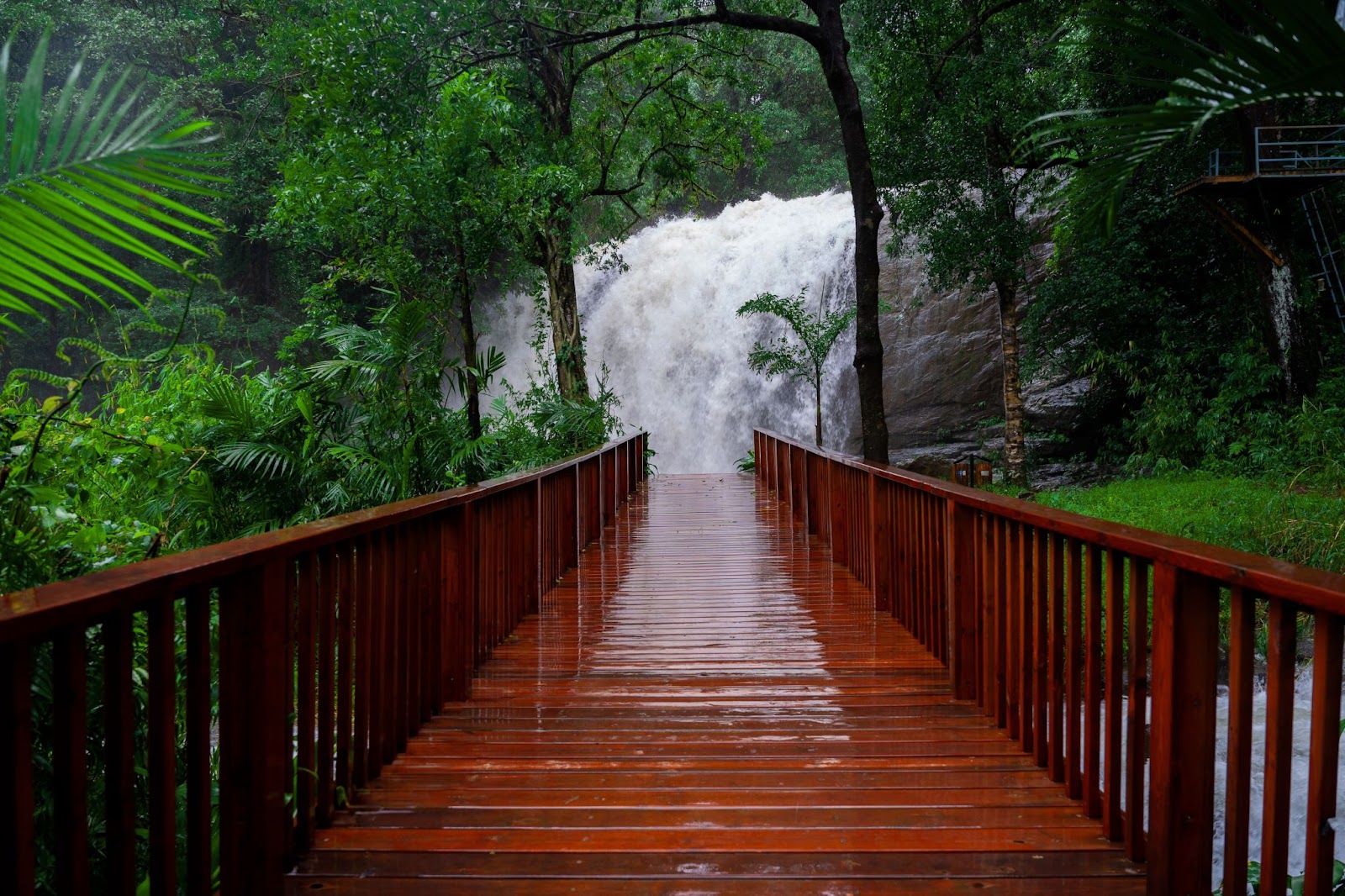 Experience The Magic Of Monsoon At These Luxury Properties