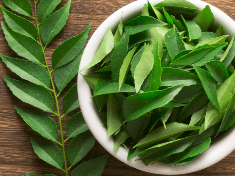 How To Make Curry Leaves Hair Oil To Stop Hairfall At Home