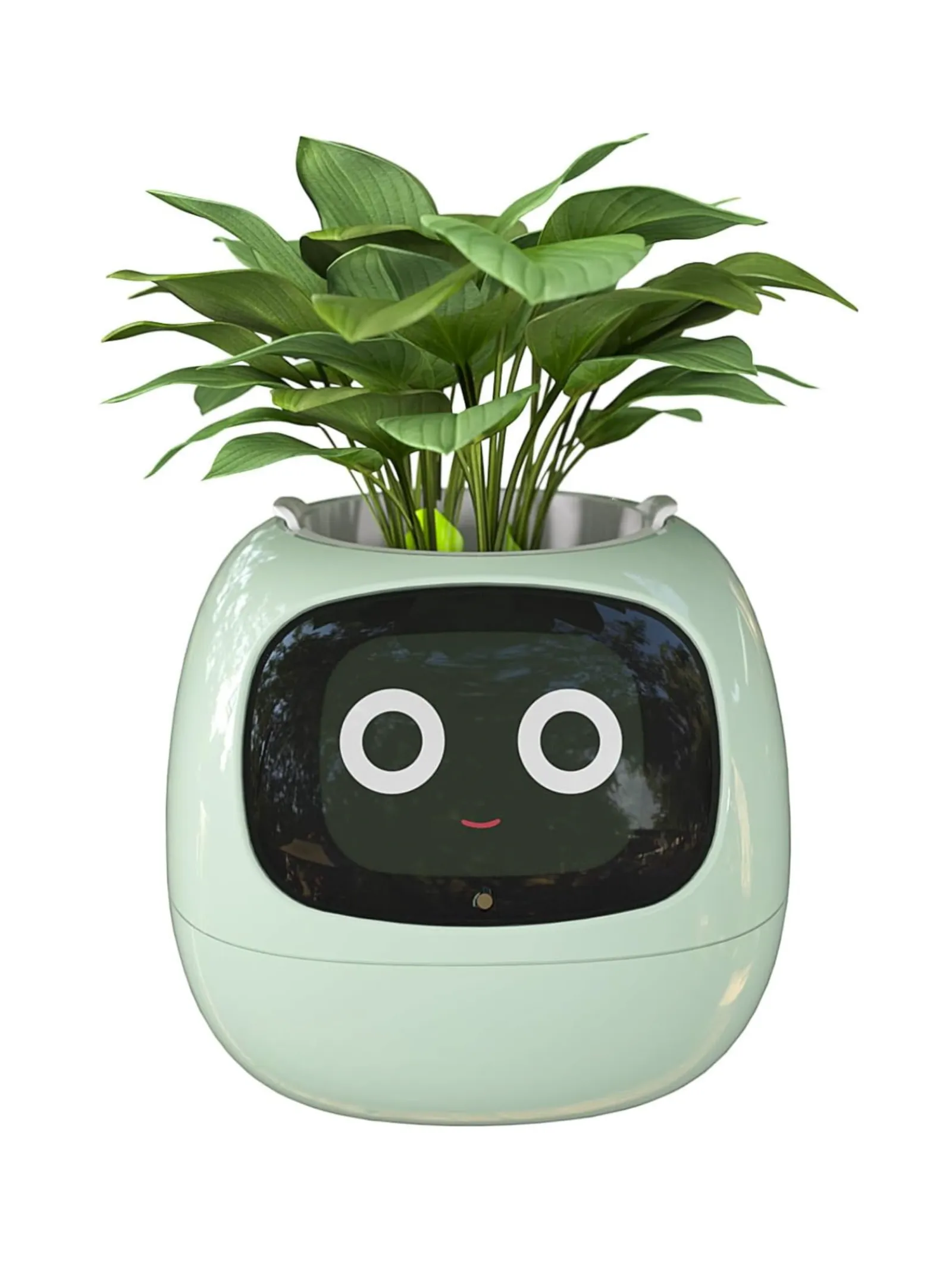 Viral Amazon Gadgets That Will Make Your Life Easier